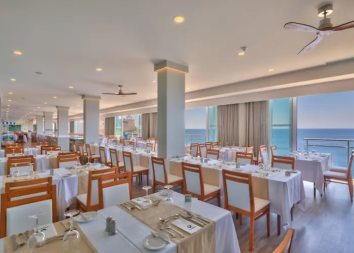 Orca - Adults Only 4*